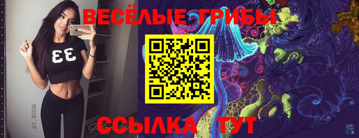 Домодедово  Псилоцибиновые грибы ЛСД  как найти наркотики  Вход с VPN 